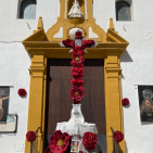 embed image
