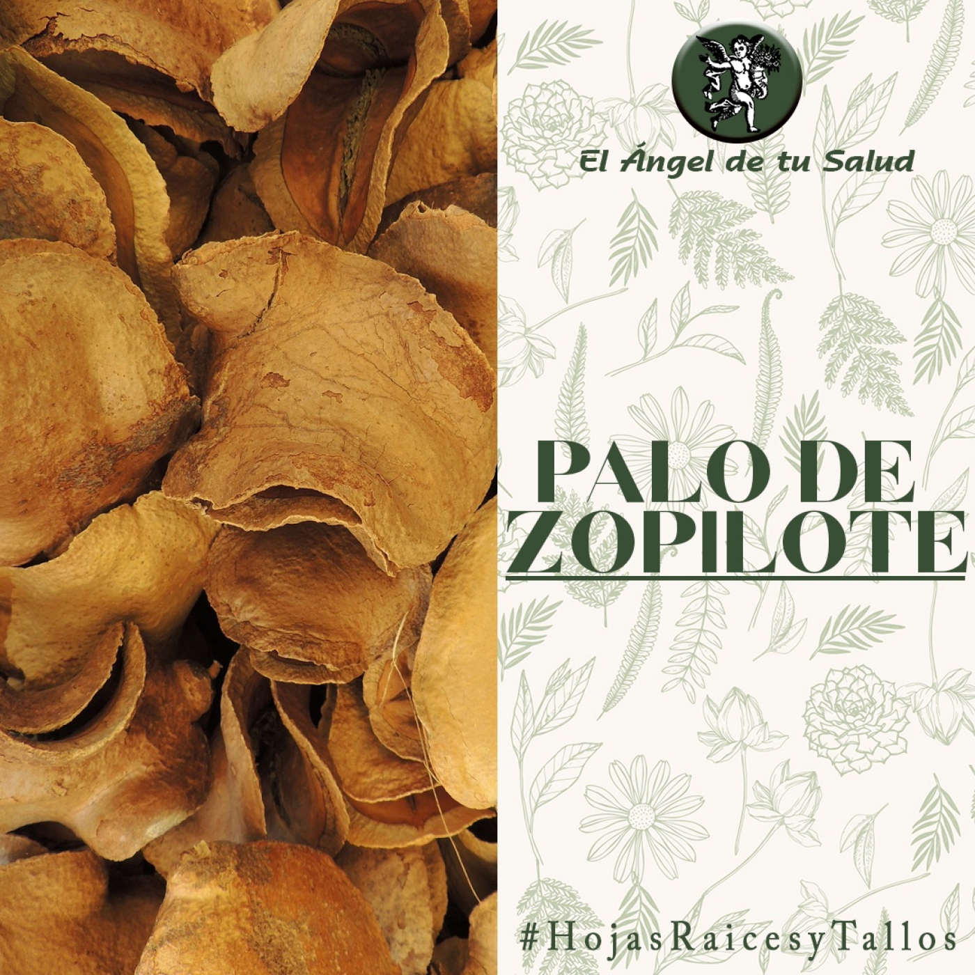 El Ángel de tu Salud - Palo de Zopilote** episode artwork