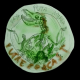 embed image