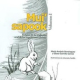 embed image
