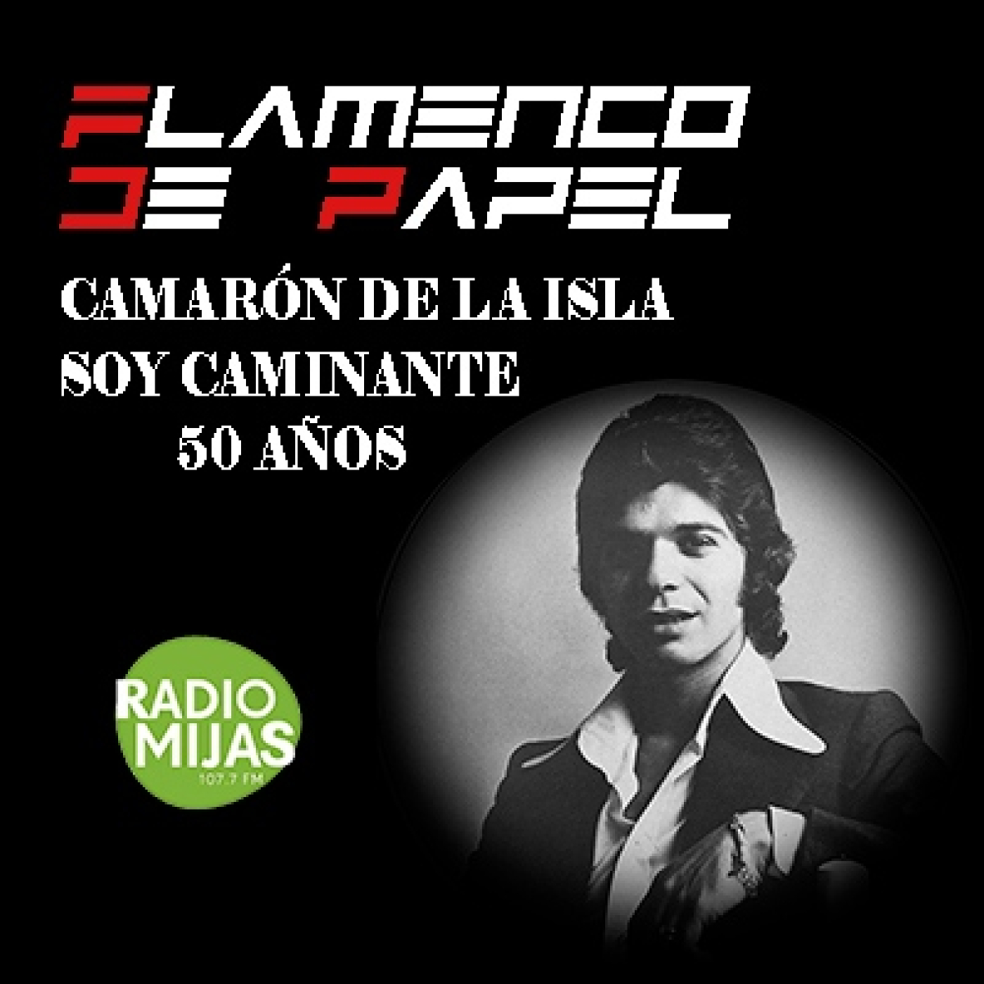 FLAMENCO DE PAPEL