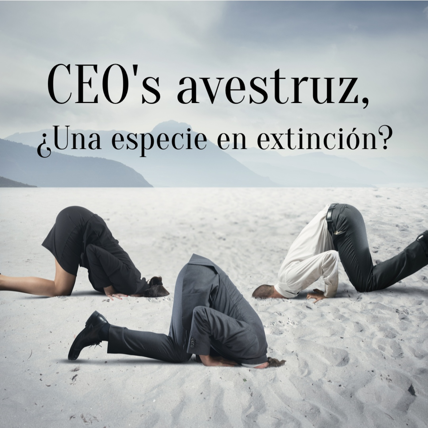 078 CEO’s avestruz ¿vienen con fecha de caducidad? episode artwork