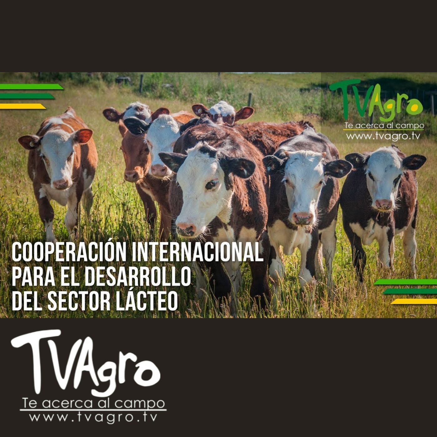 TV AGRO