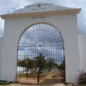 embed image