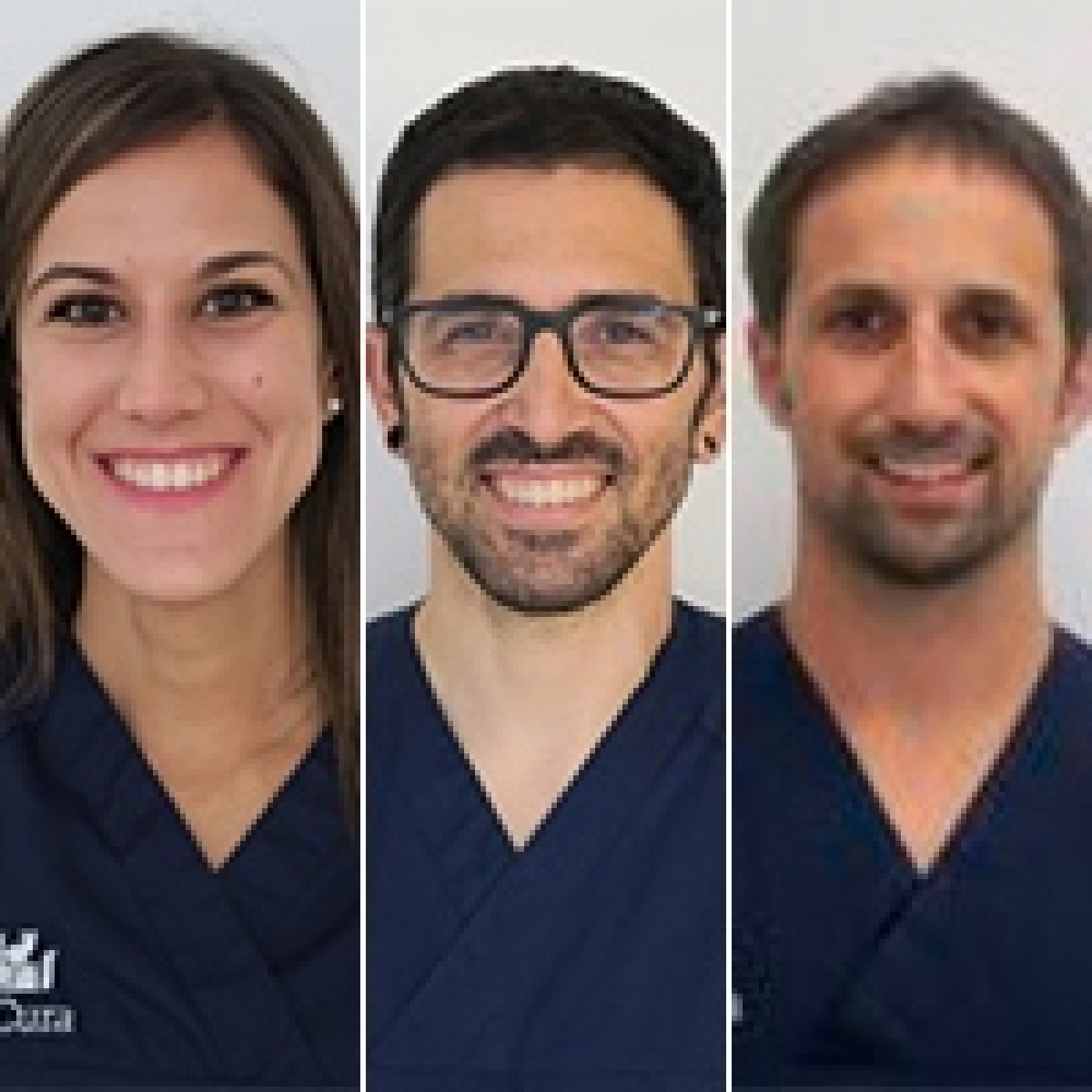 Podcast de Ideant Veterinaria