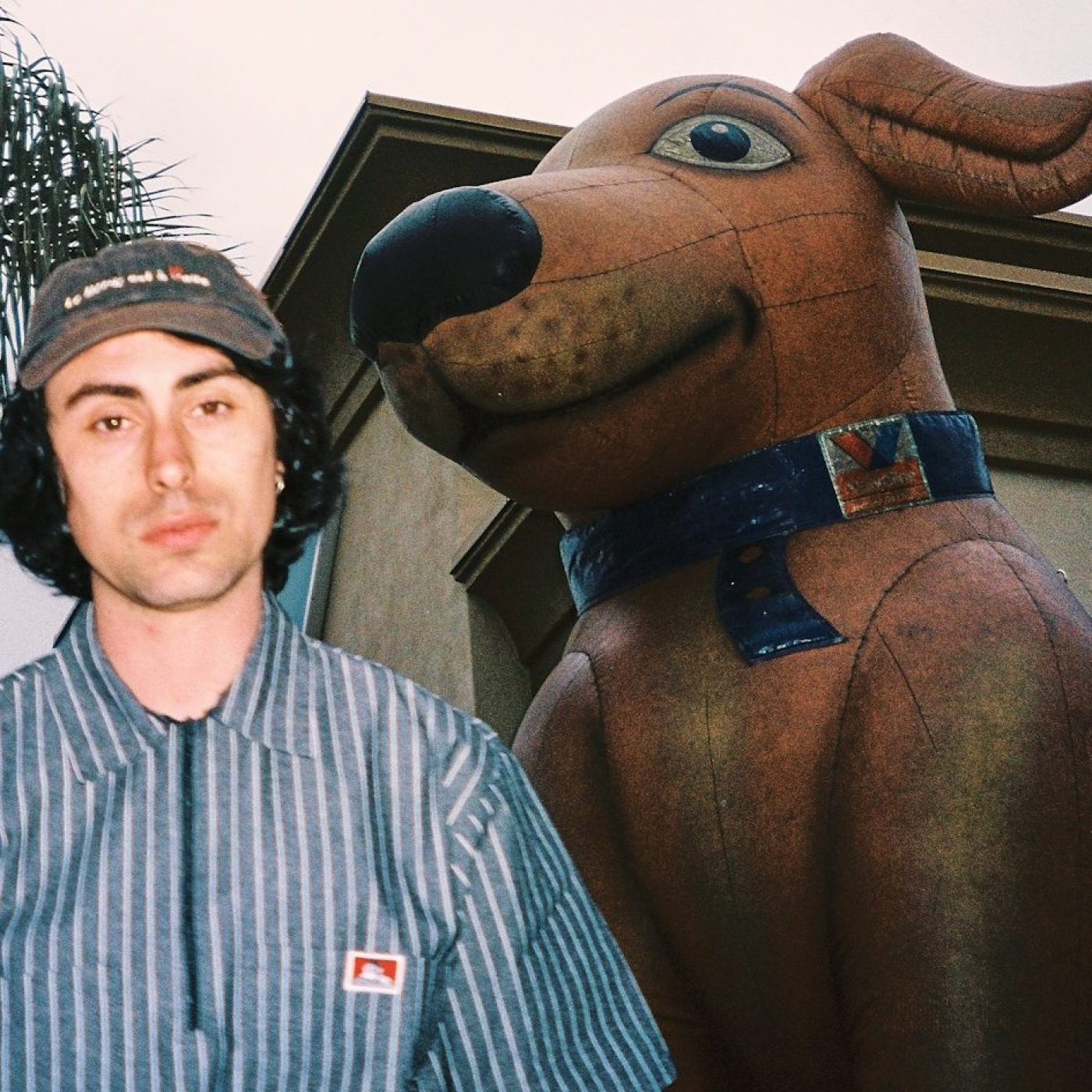 Depresión Sonora: así suena ‘Los perros no entienden internet’