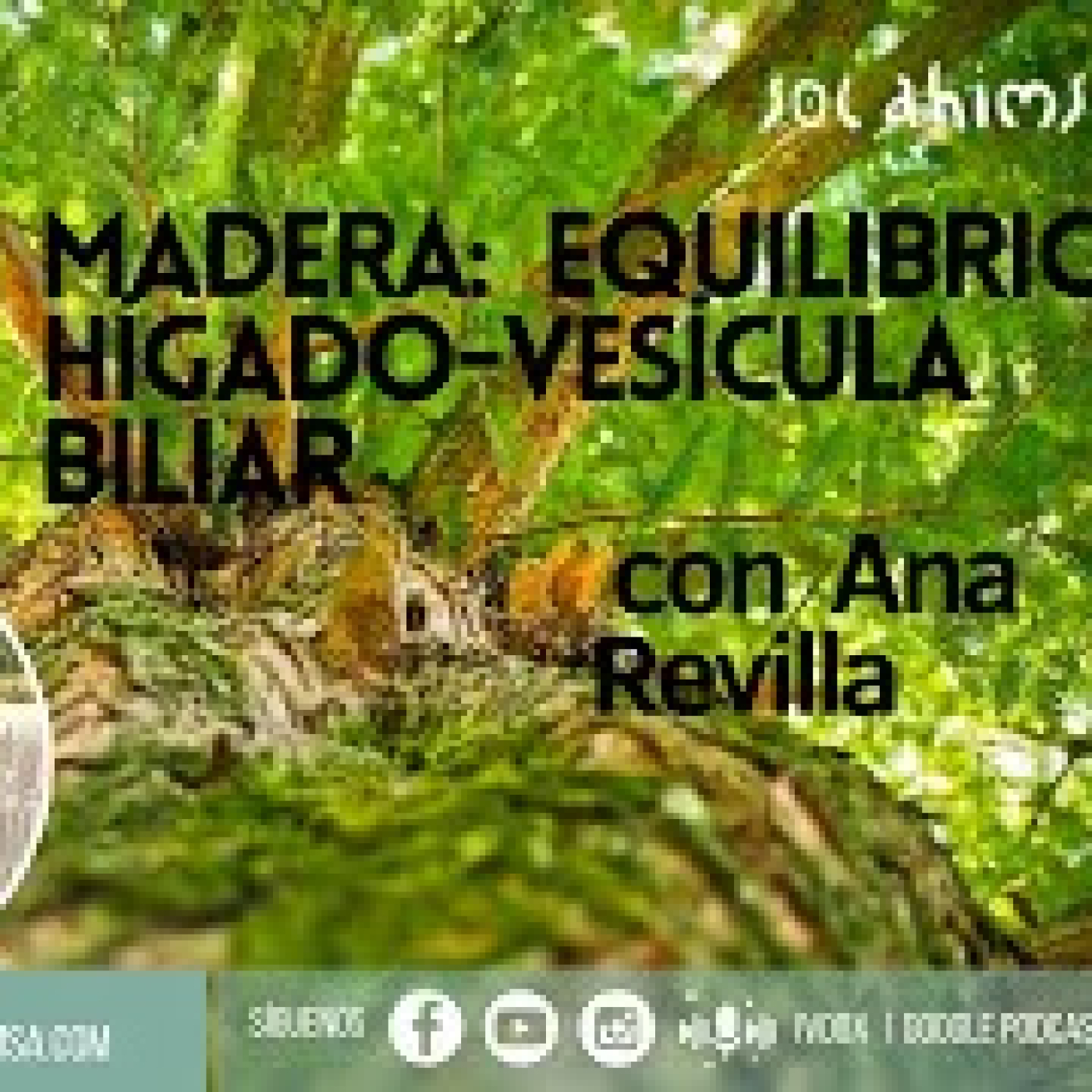 MADERA: EQUILIBRIO HÍGADO-VESÍCULA BILIAR episode artwork