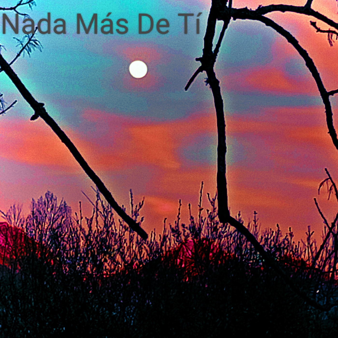 Noches En la Hoguera