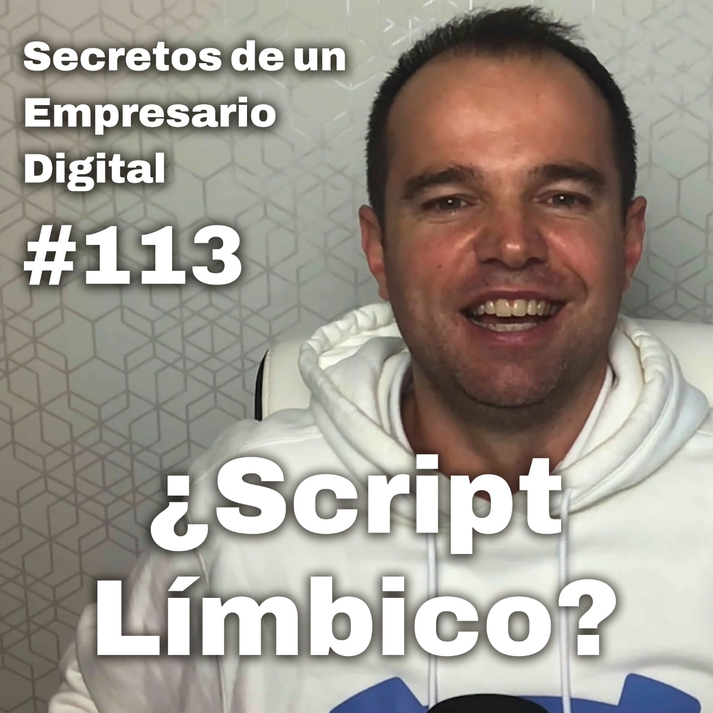 #113 ¿Qué es el nuevo Script Límbico? + Lista prioritaria Omnipresencia 3.0