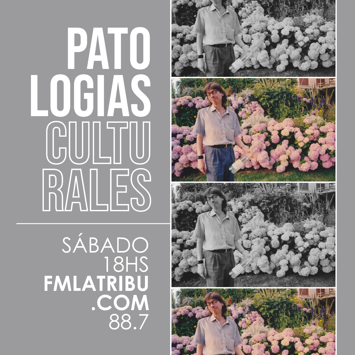 Patologías Culturales