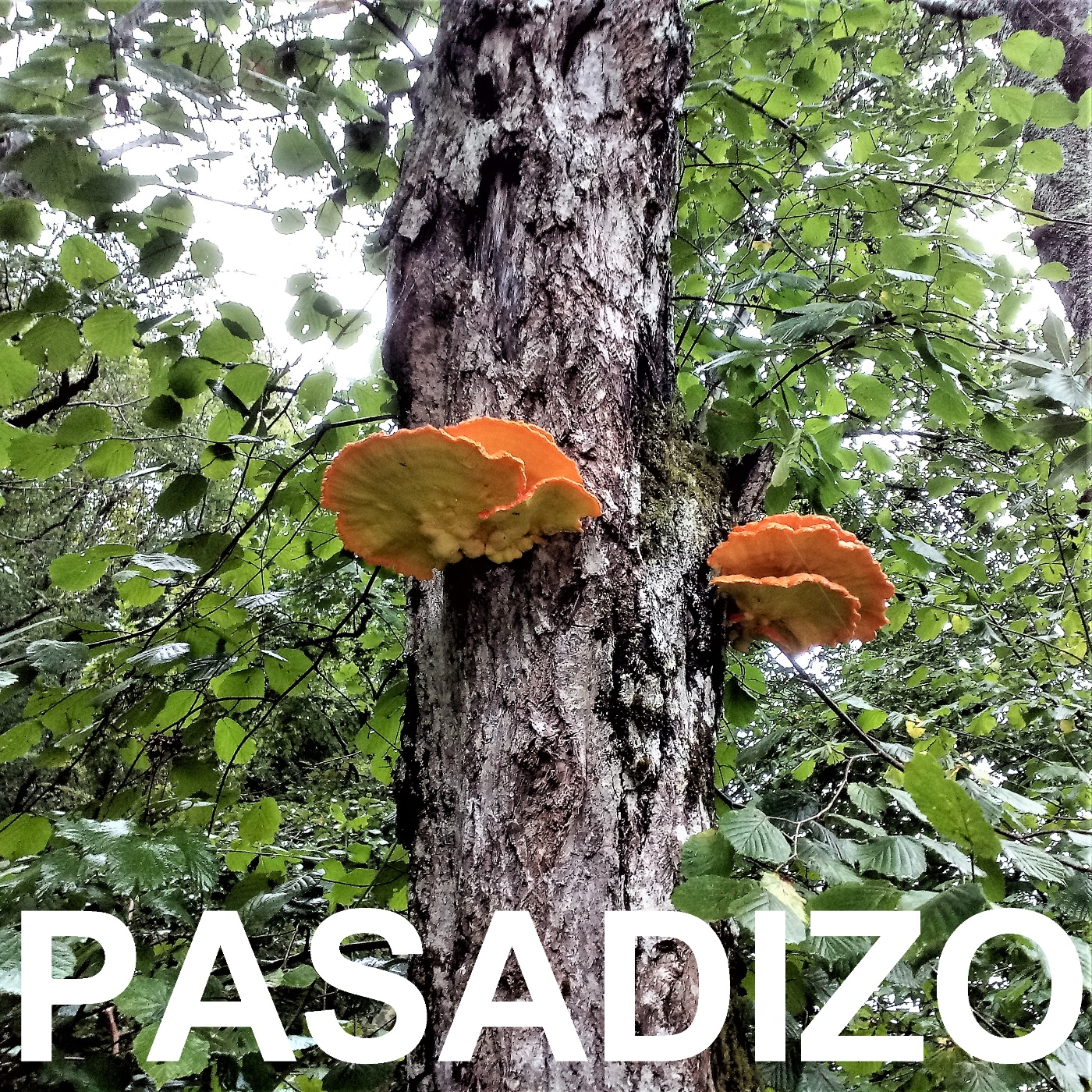 PASADIZO