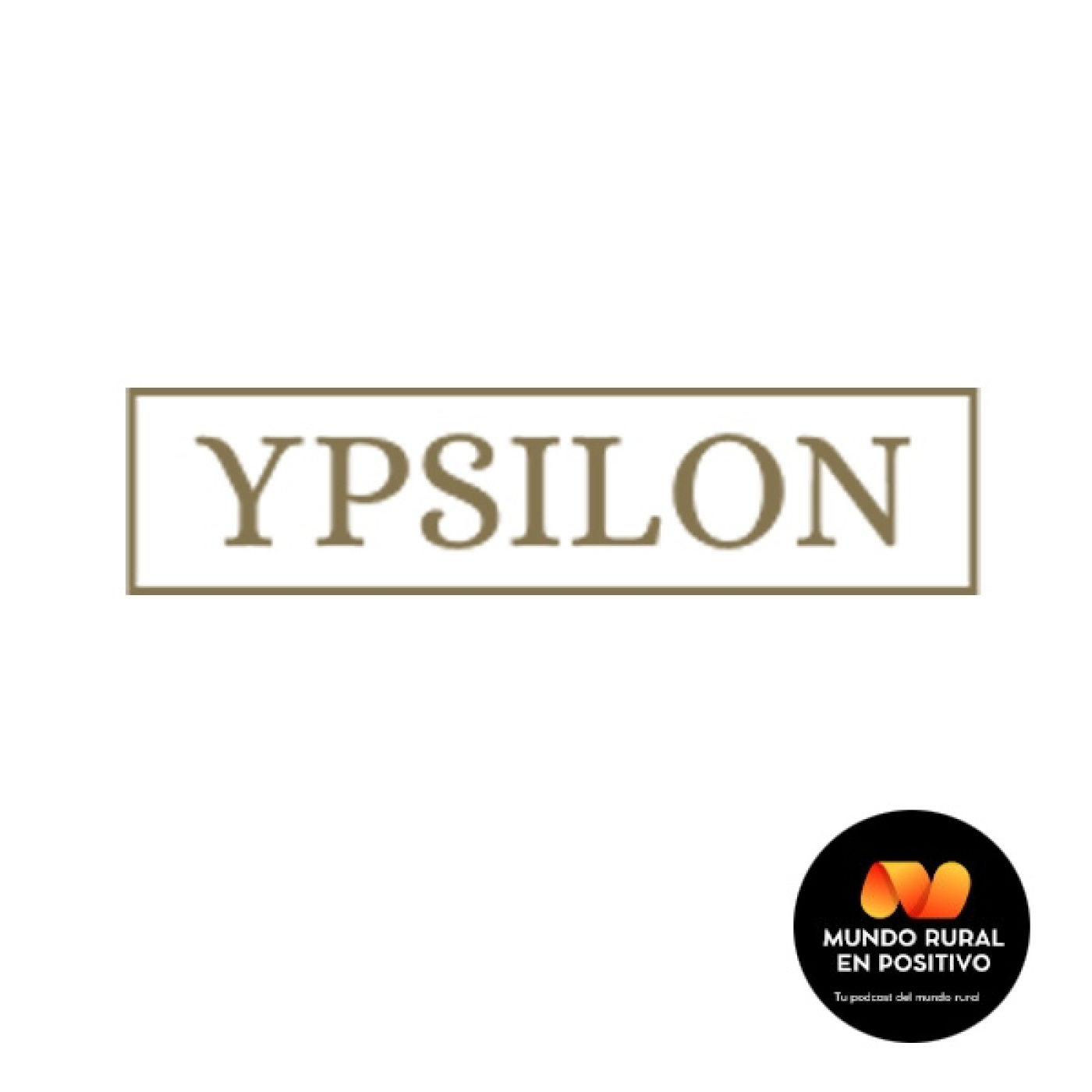 Tradición e innovación desde el olivar, la fórmula de Ypsilon Olive Oil, con Neyva Martínez episode artwork