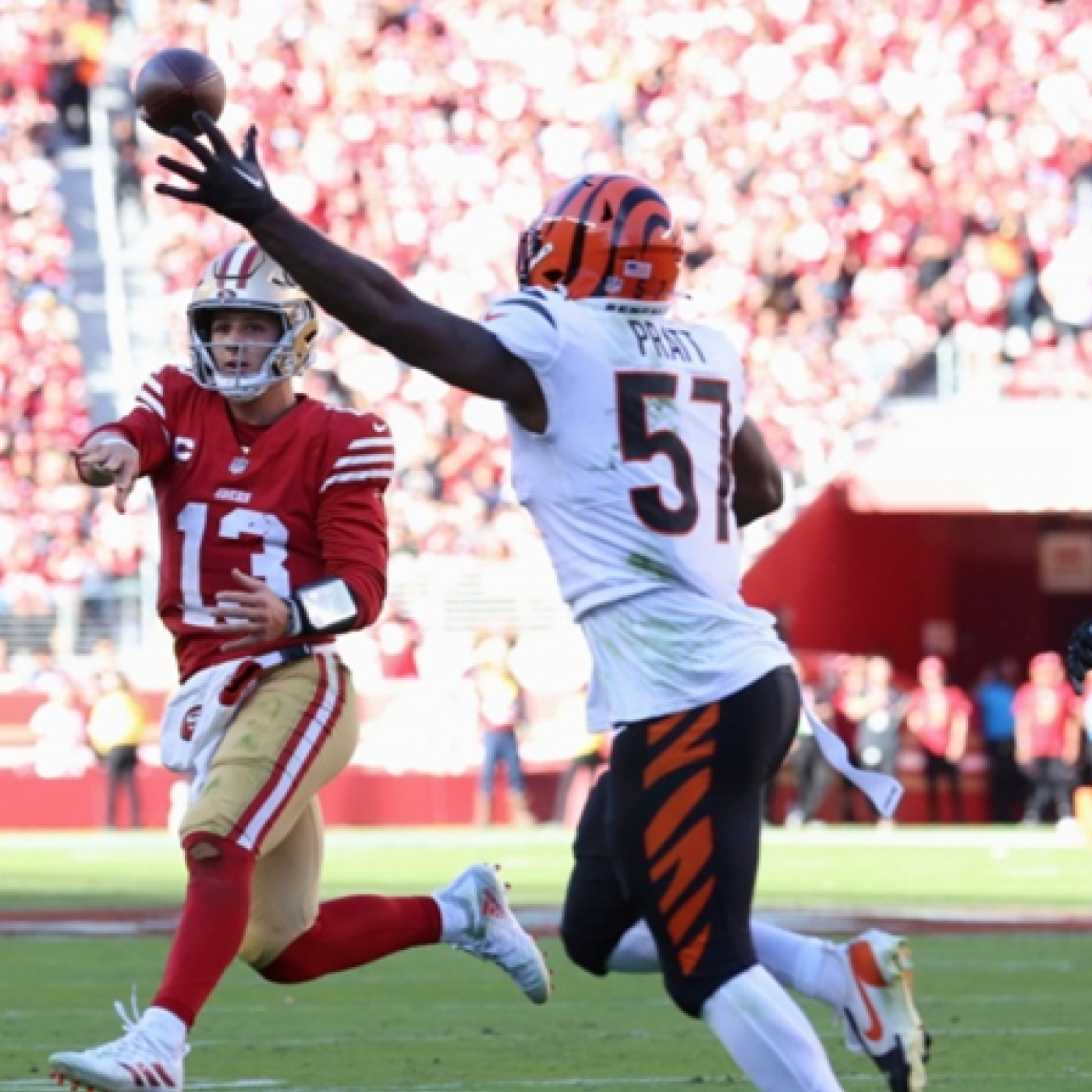 La Jungla Hispana - Bengals.es