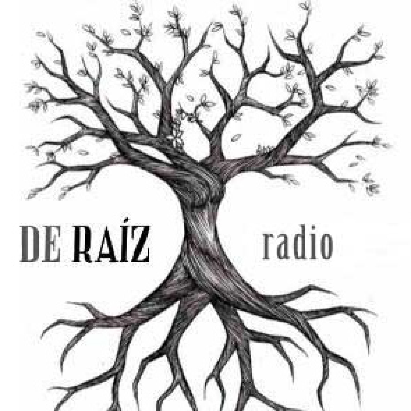 De Raíz #135: Escándalo Púbico con Jesús Marín Torres, Neus Català y “Solo quería bailar” episode artwork