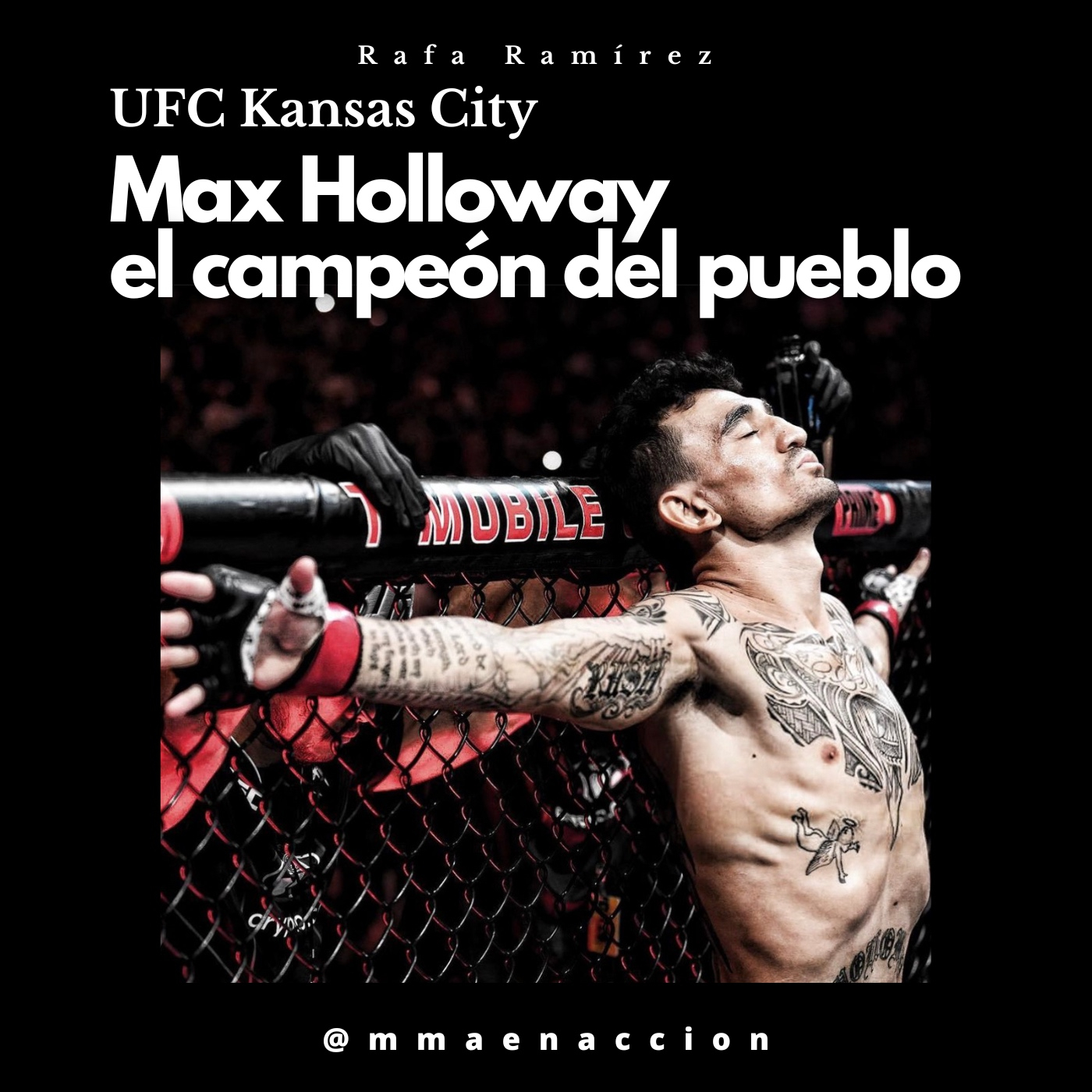 MMA en acción