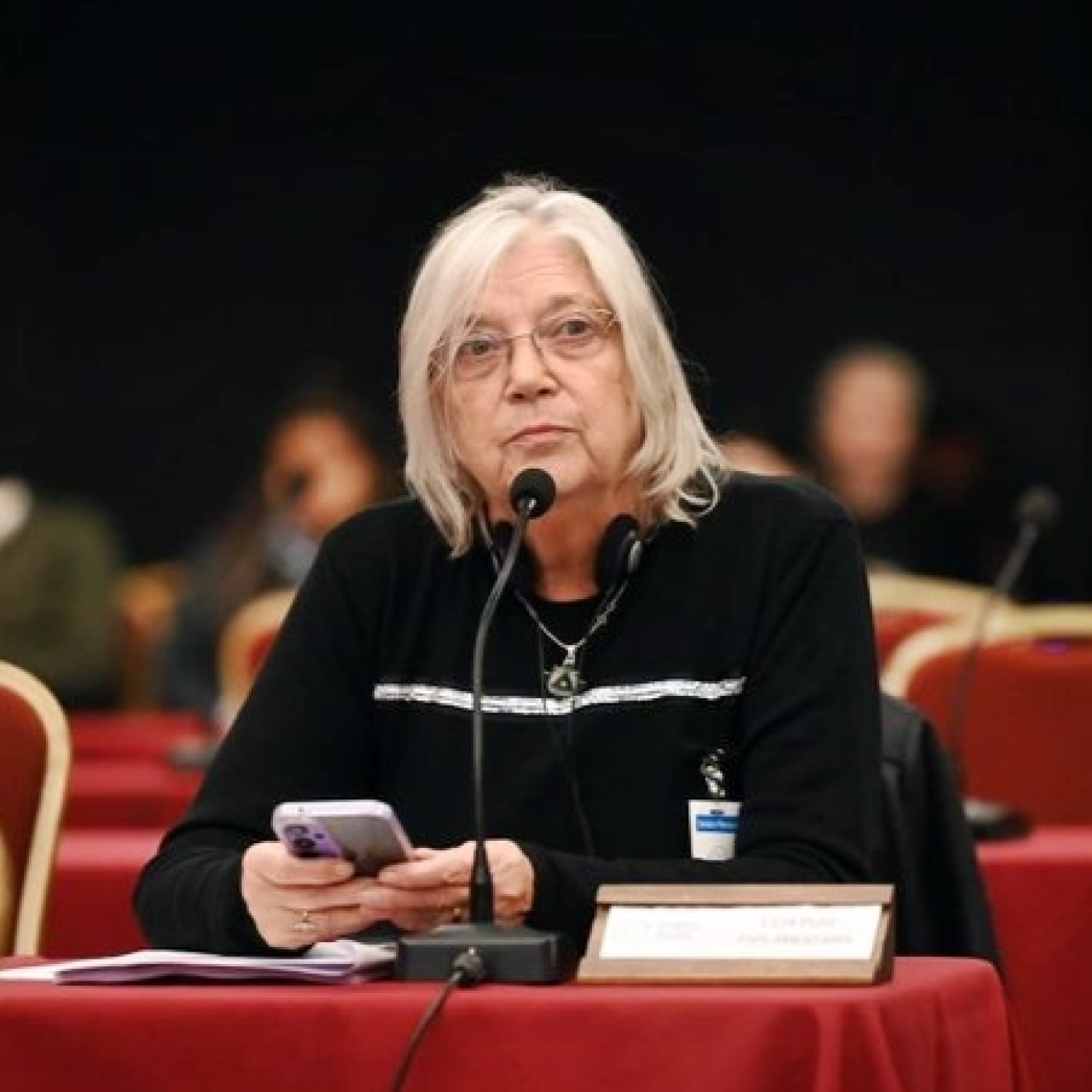 Lilia Puig (Diputada en Parlasur) No La Vimos Venir @rpmalmendros
