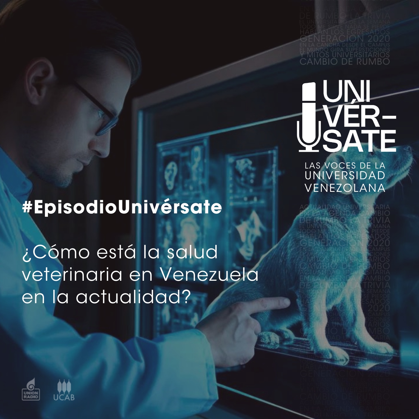 Producción Univérsate