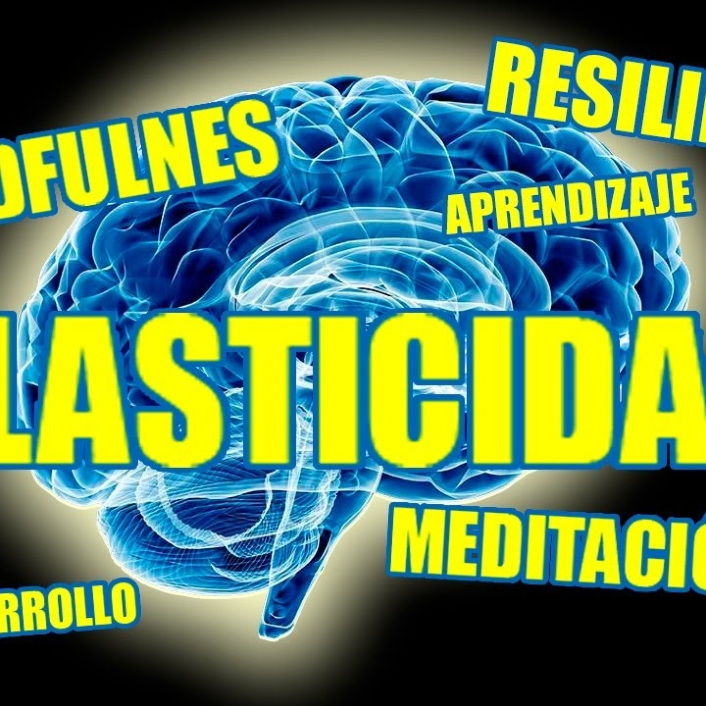SALUD INTELIGENTE con Sento Segarra