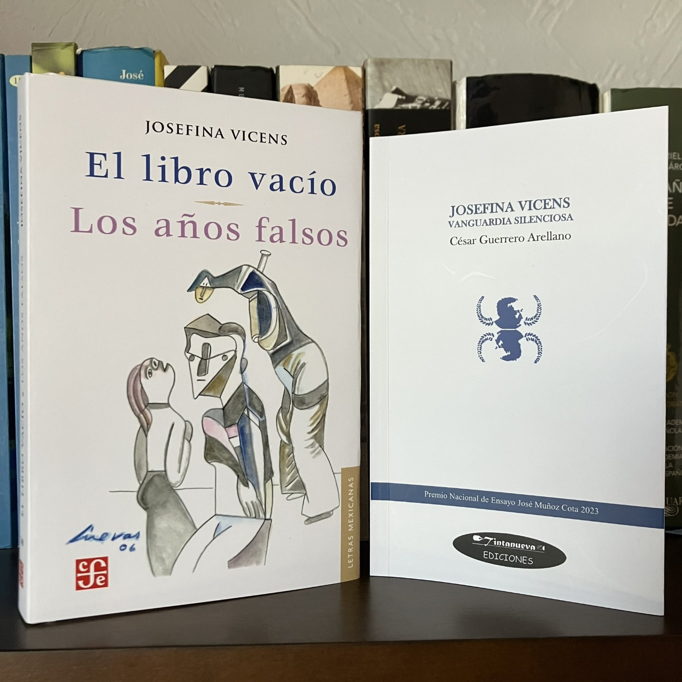 Apiedepágina IMER