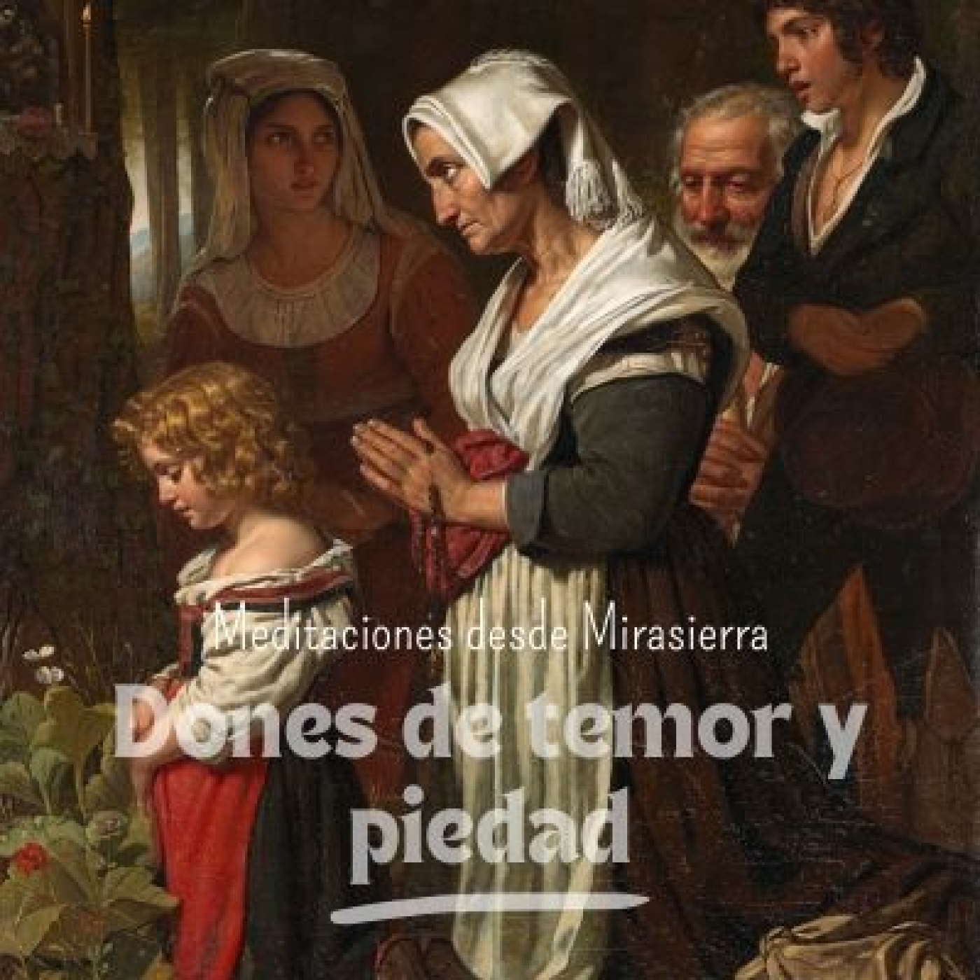 Meditaciones desde Mirasierra