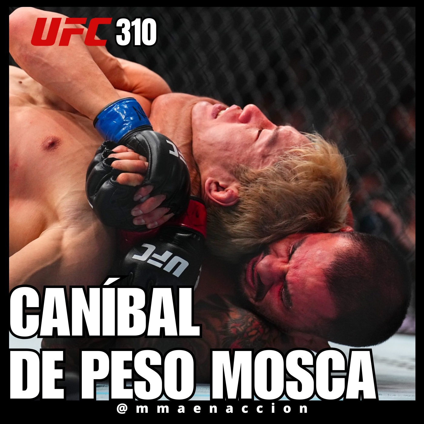 MMA en acción