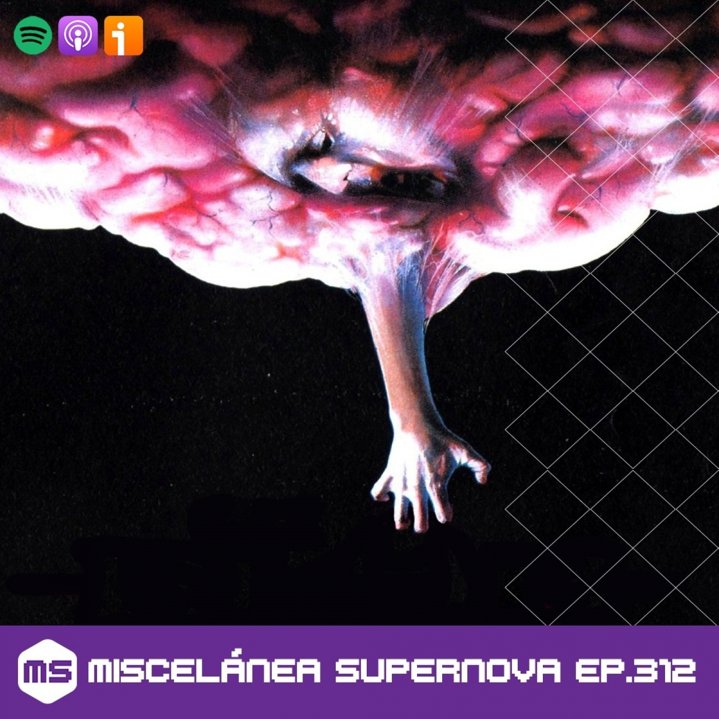 Miscelánea Supernova