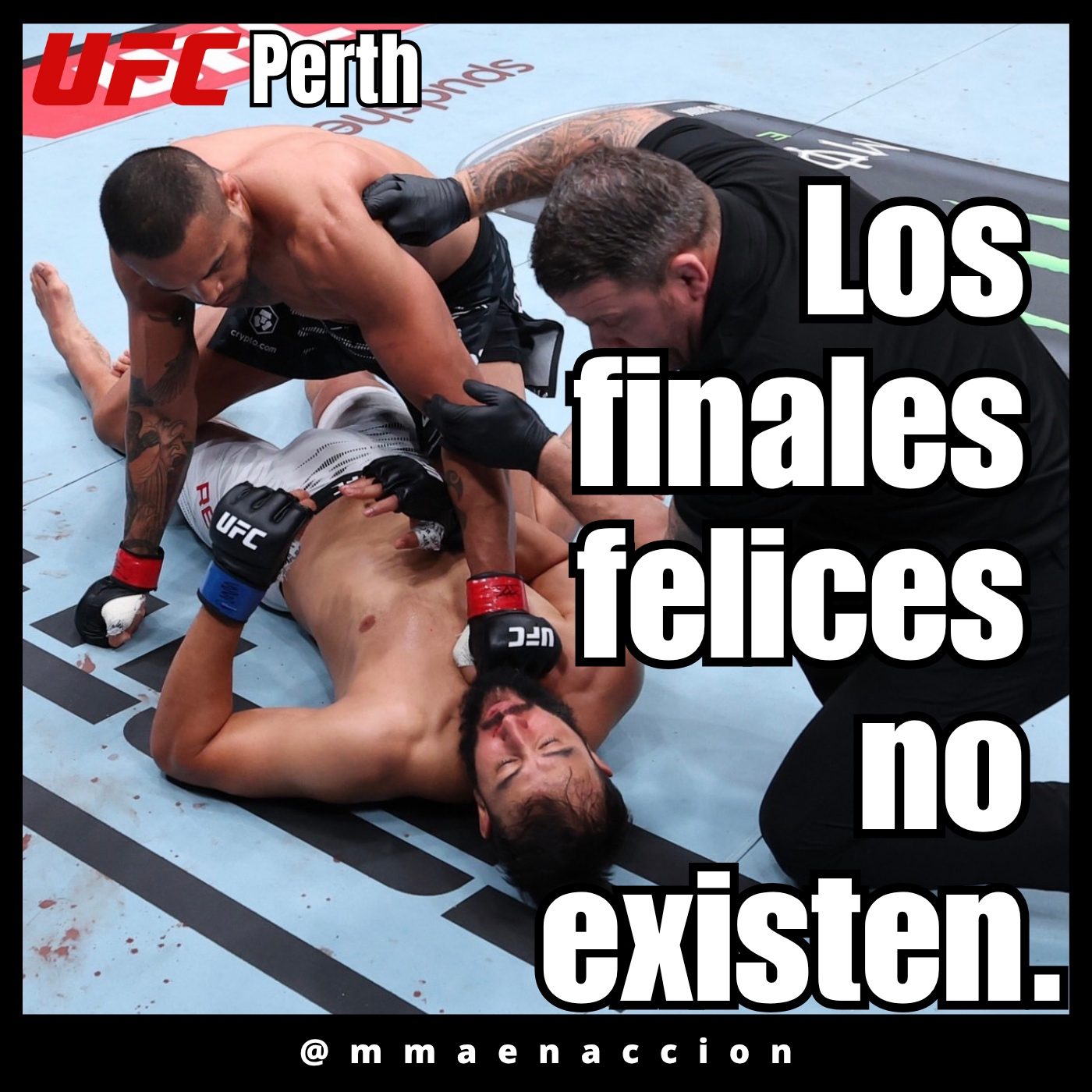 MMA en acción