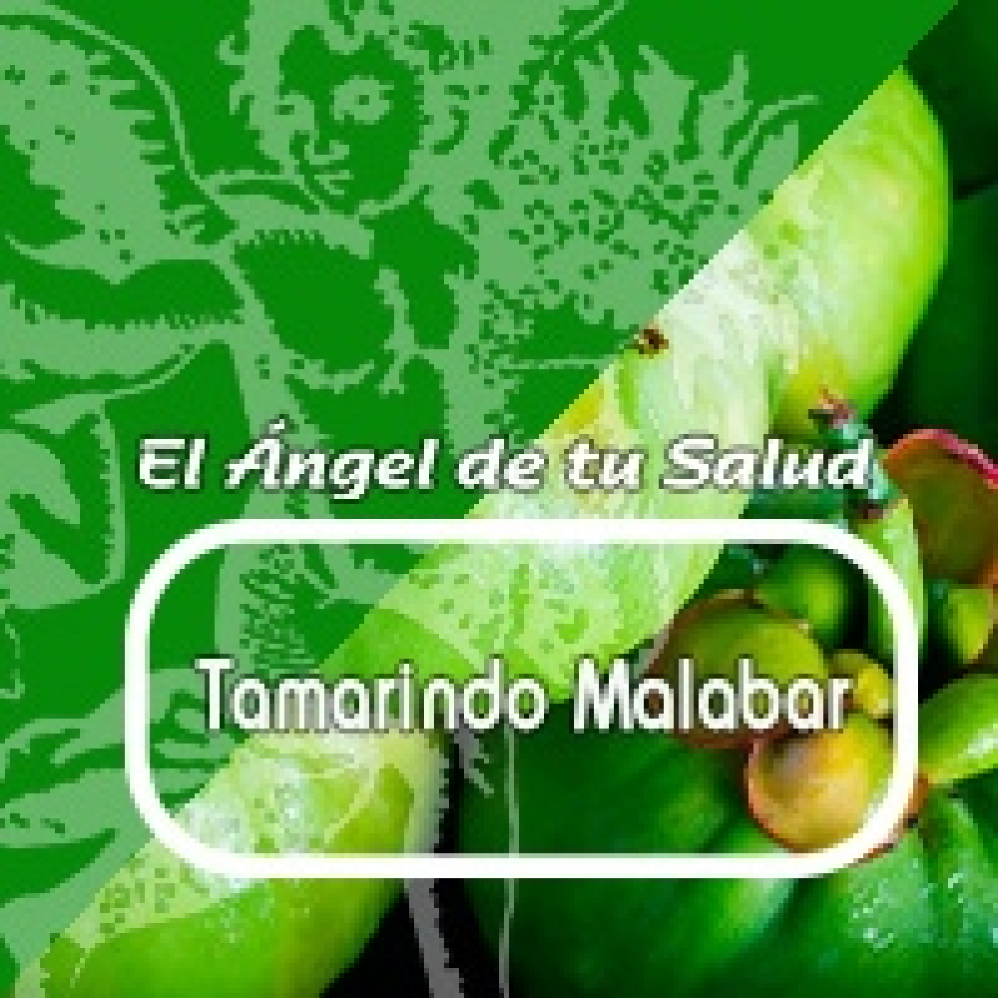 El Angel de tu Salud - Tamarindo Malabar***
