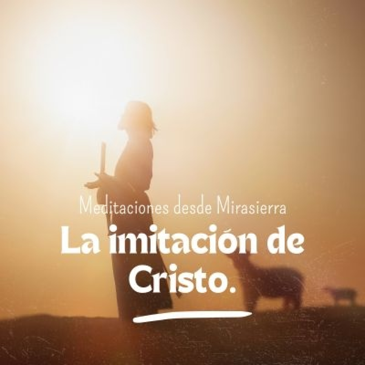 Meditaciones desde Mirasierra
