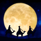 embed image