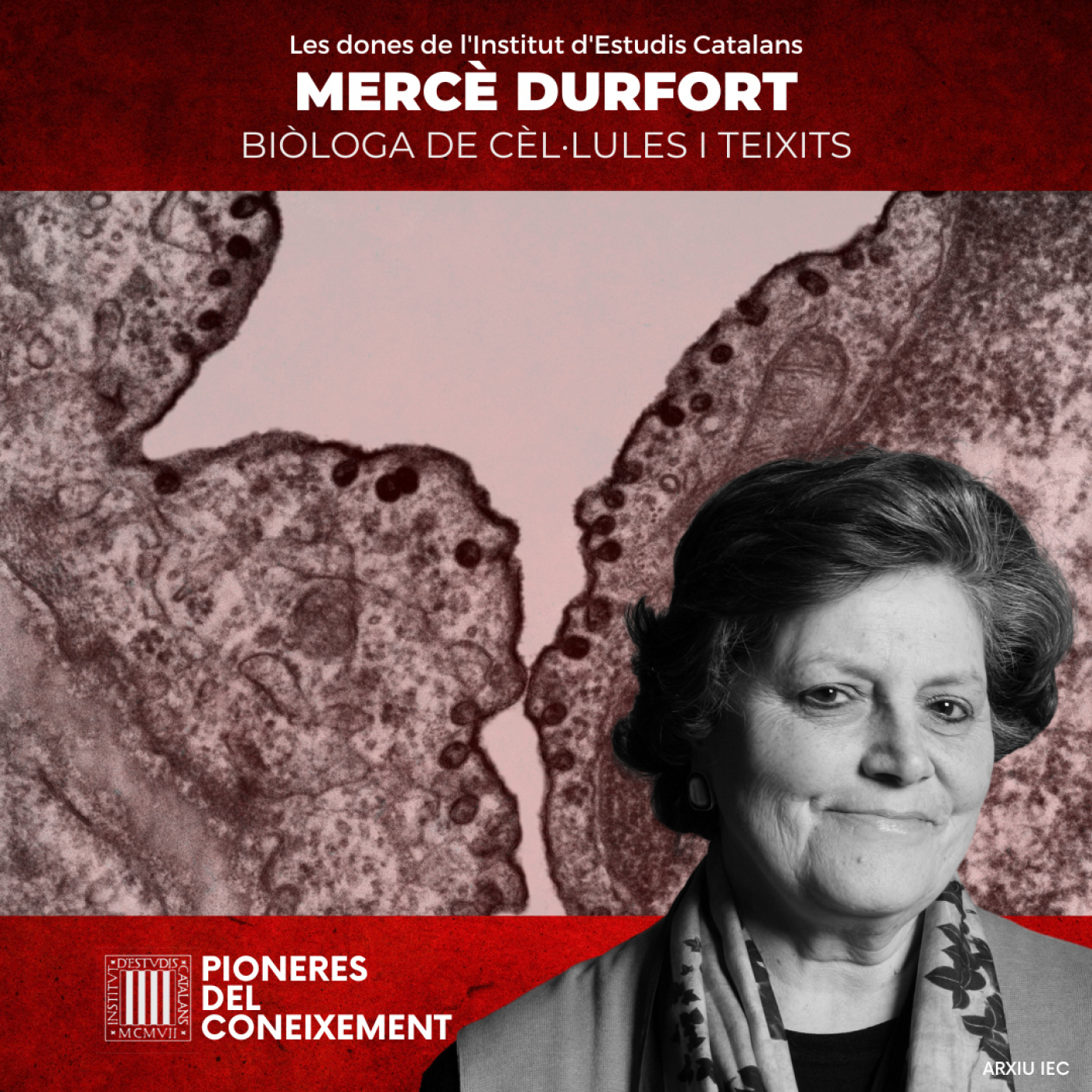 Pioneres del coneixement. Les dones de l\'IEC