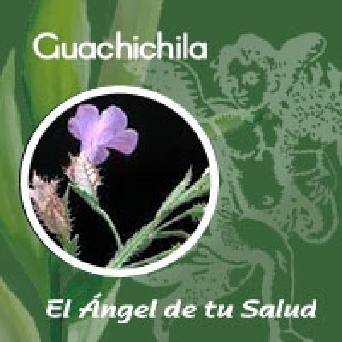 El Ángel de tu Salud - Guachichila **