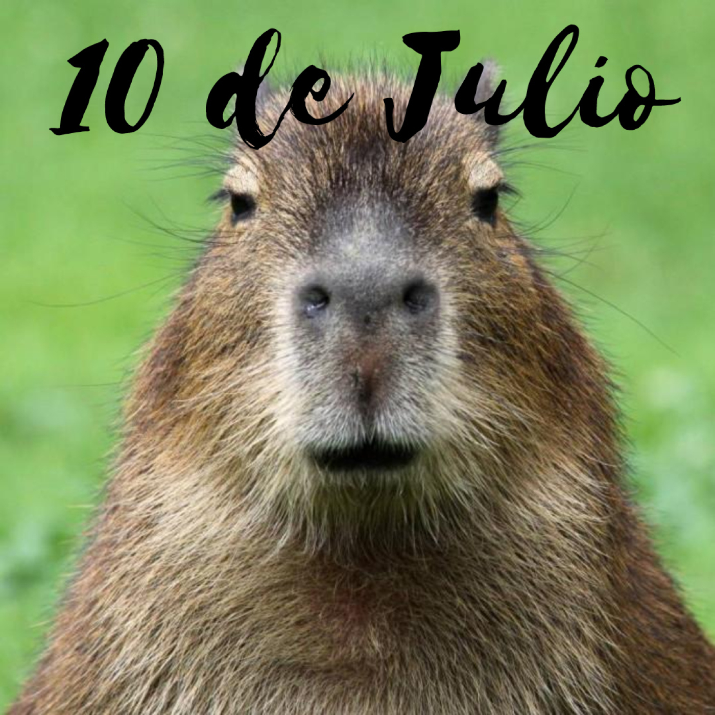 10 de Julio // Ultraman, Sevilla, Miguel Ángel Blanco y Capibaras episode artwork