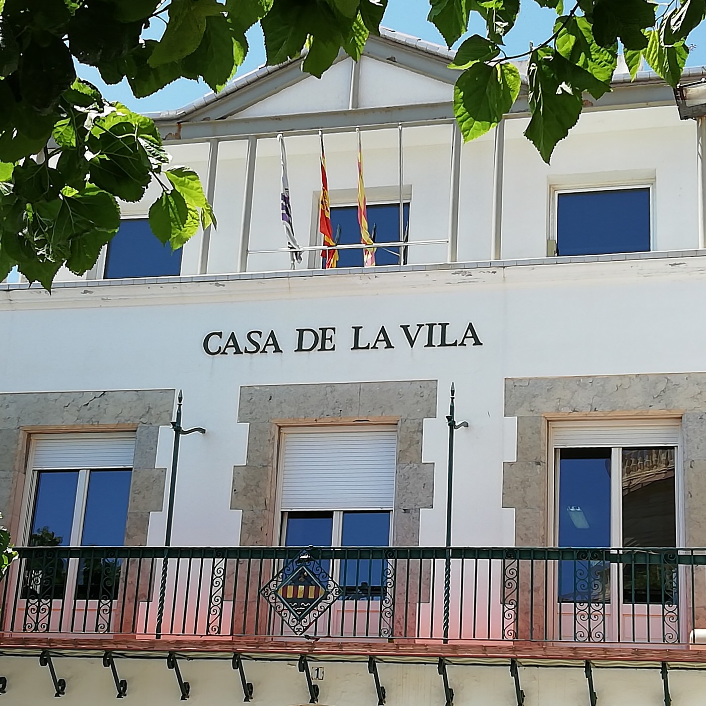 Plens municipals