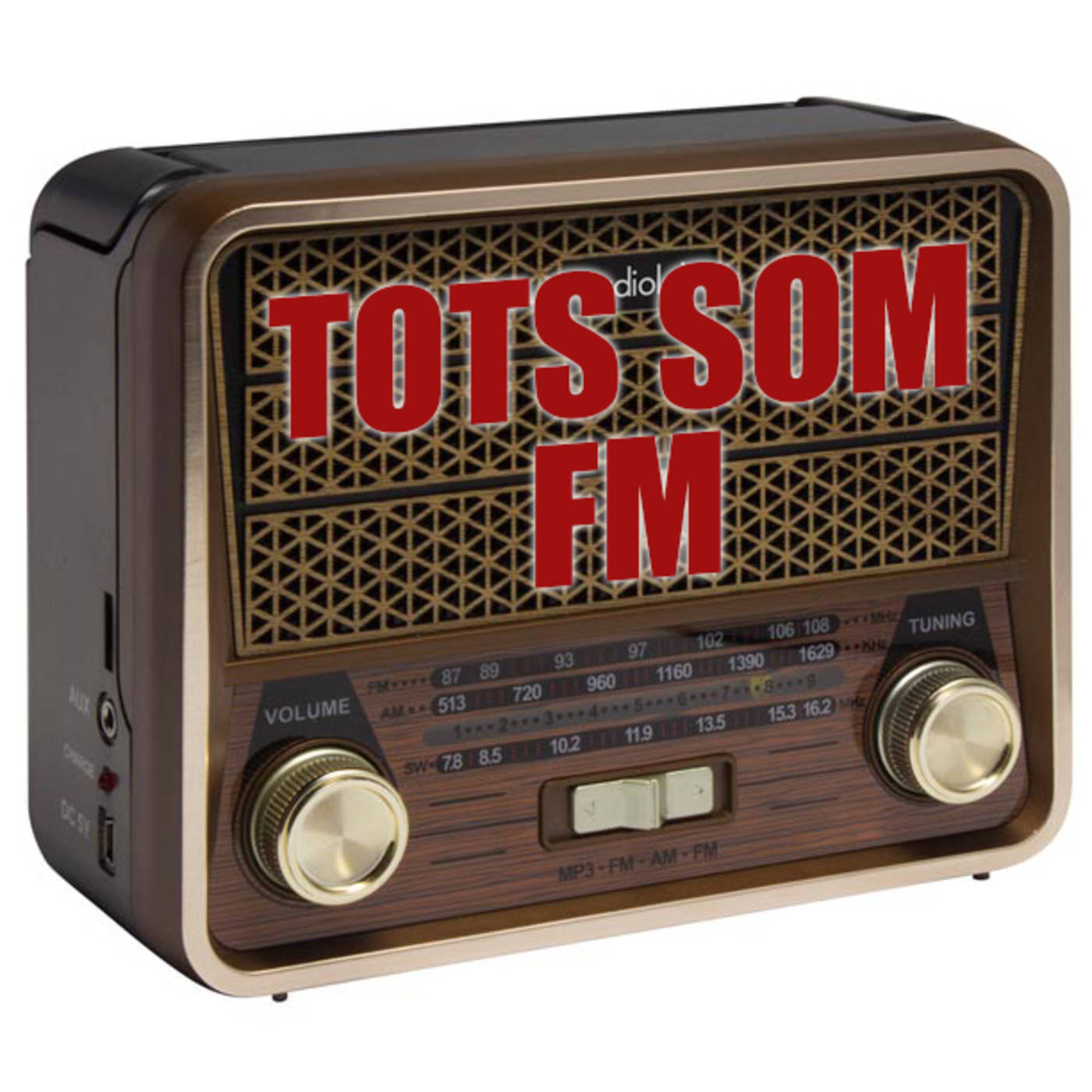Tots som FM