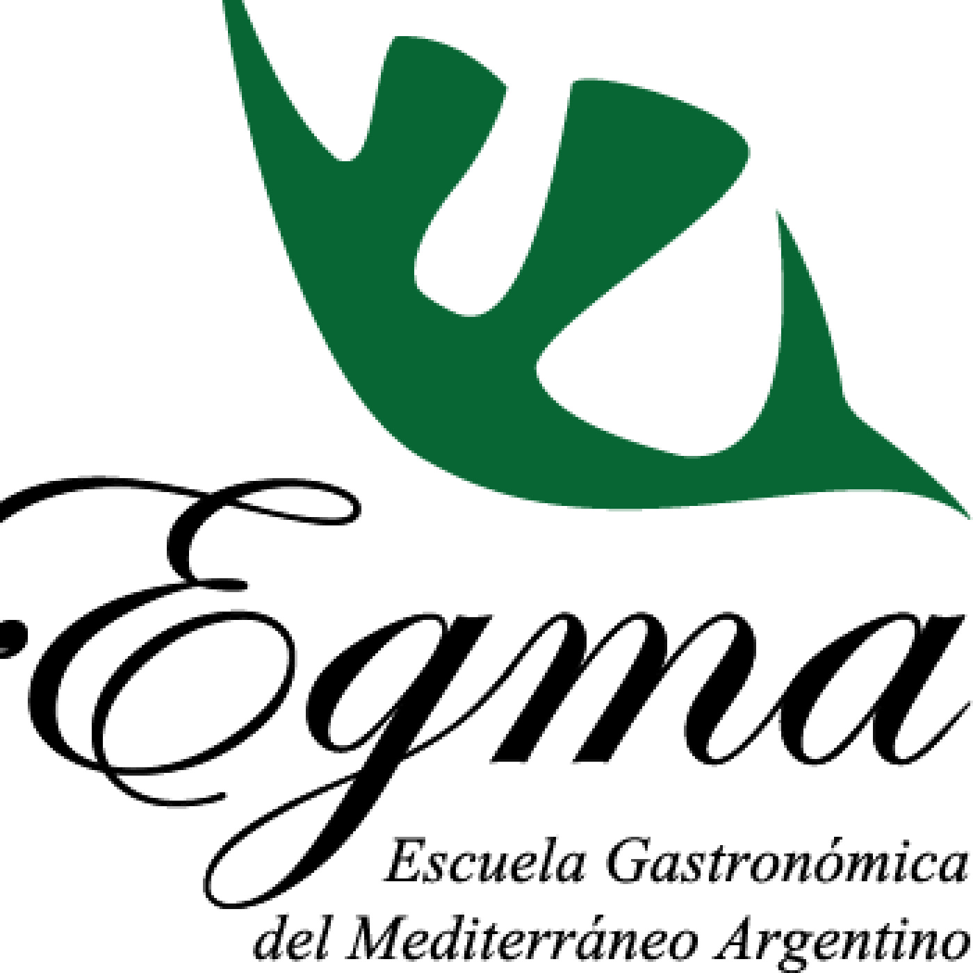 Micro Egma