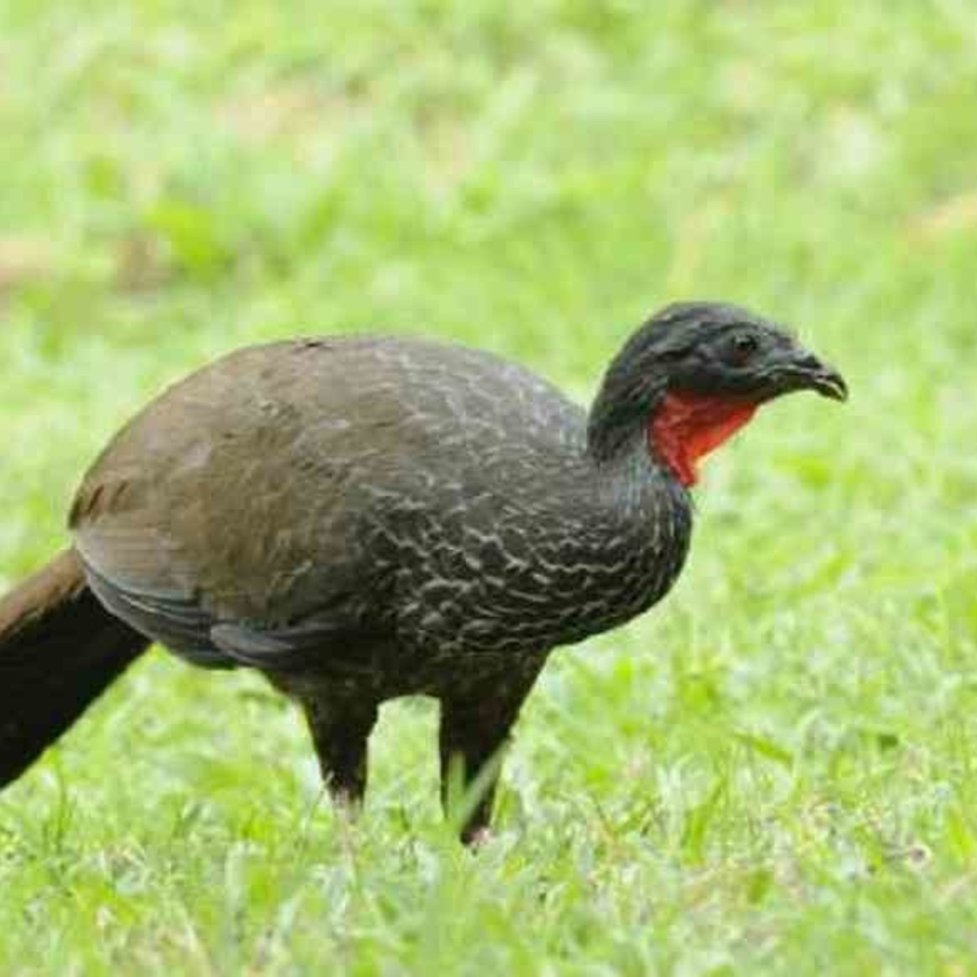 Zonas Horarias junio 2020