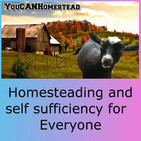 8 Reasons To Grow Your Own Fodder, Herbs for Cold & Flu YCH#46