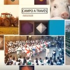 Campo a través 15/10/2019