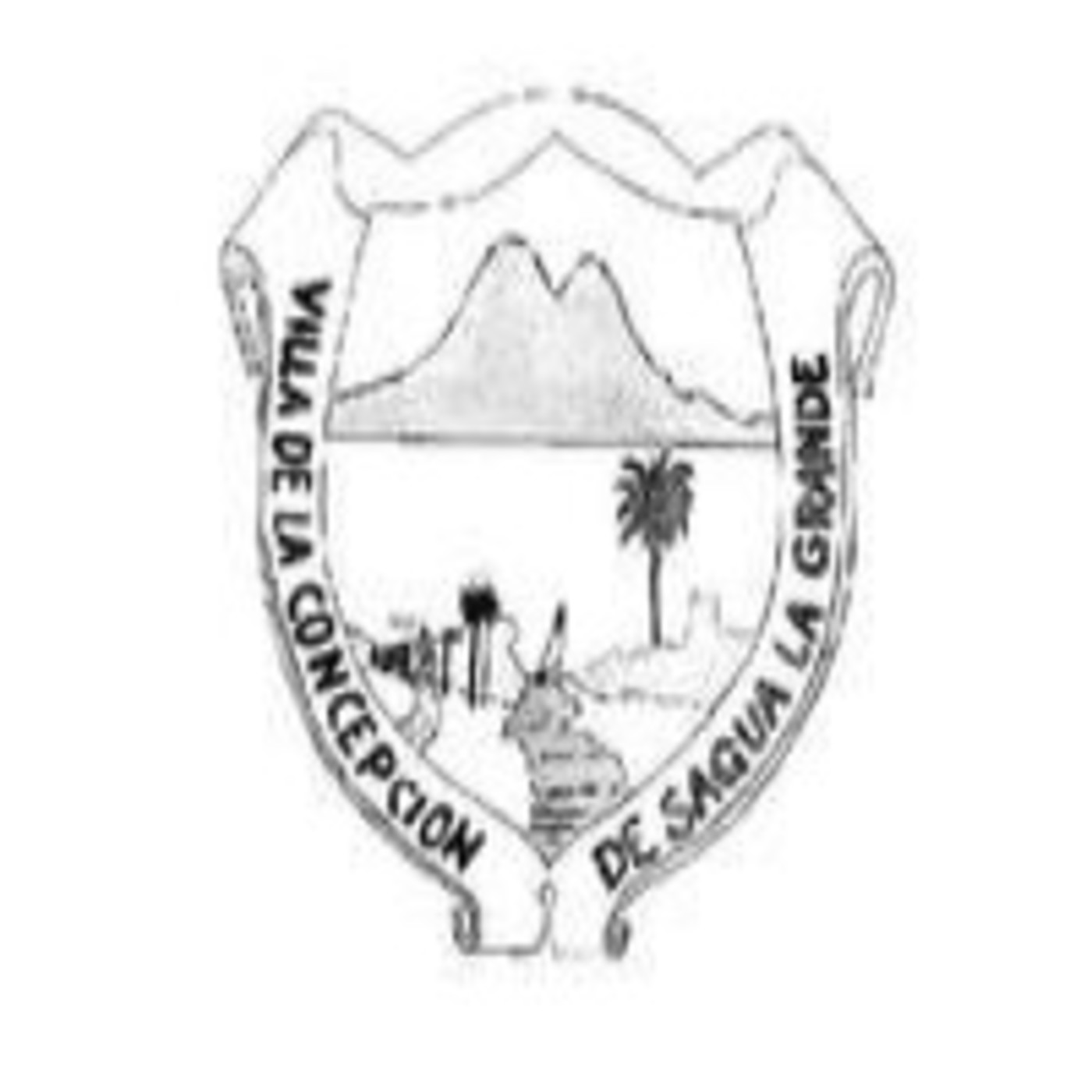 RADIO DE SAGUA VIVA