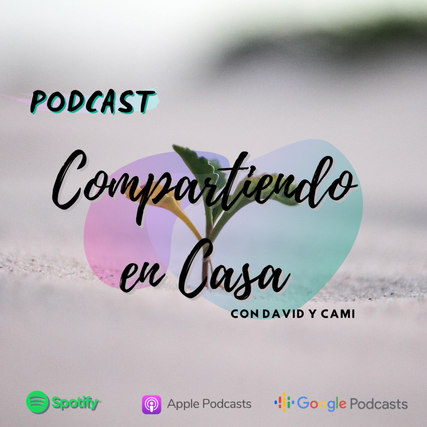 Compartiendo en casa con David y Cami