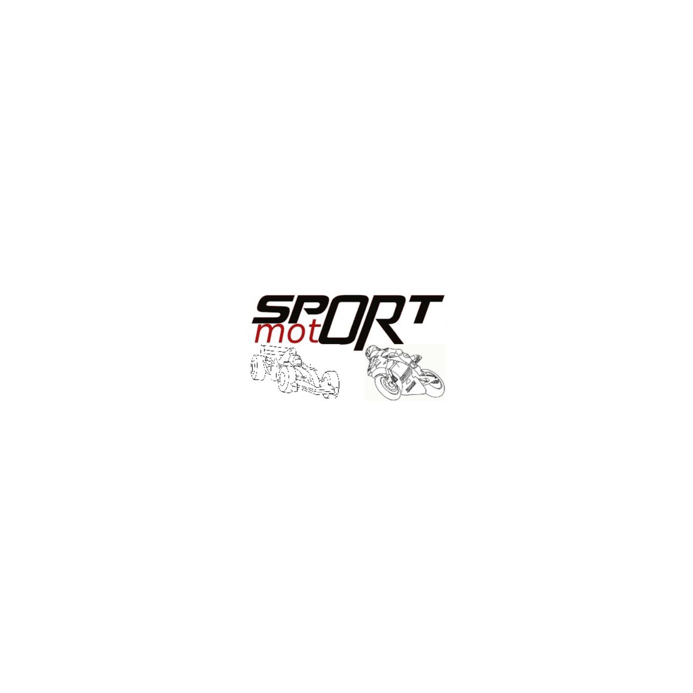 SportMotor: Formula 1