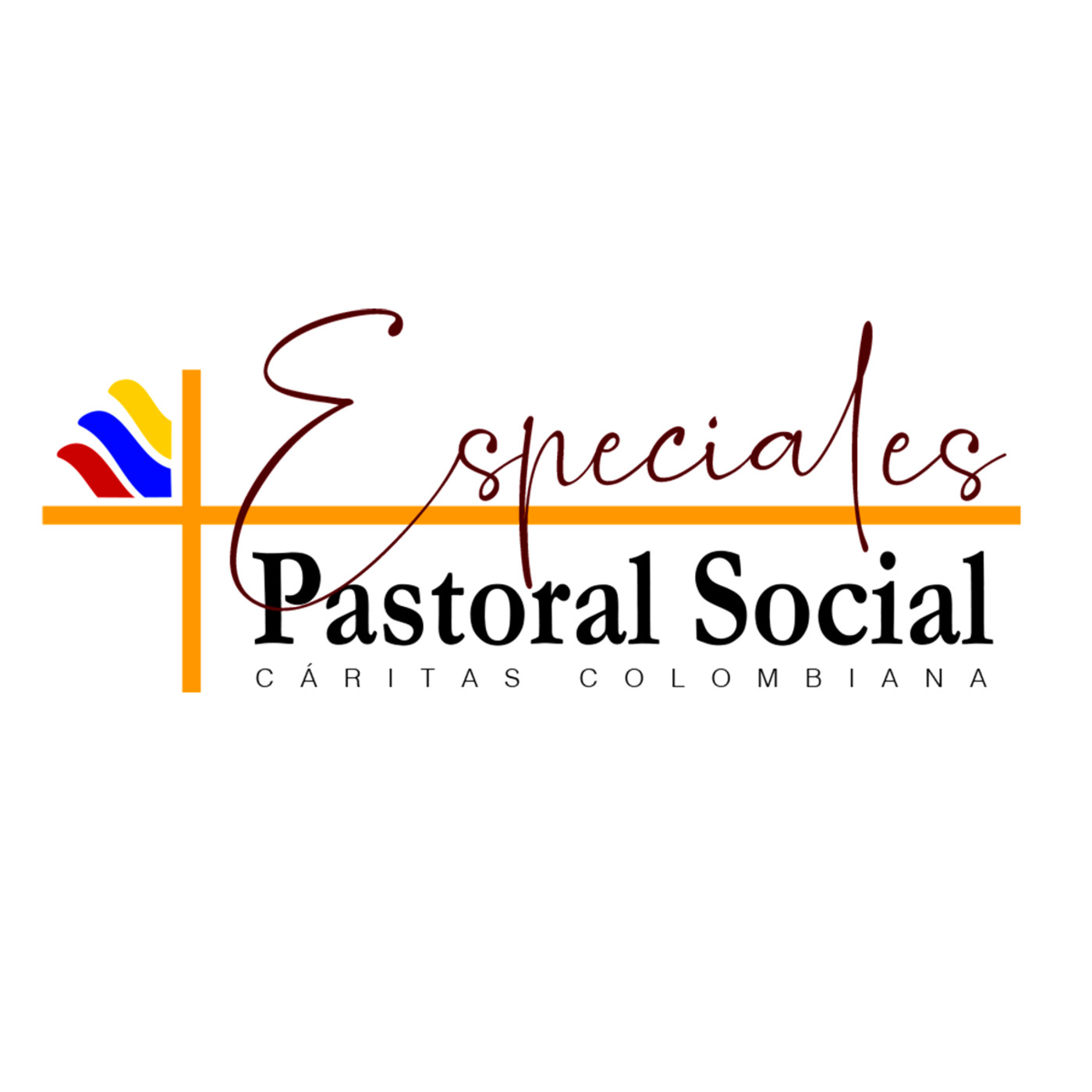 Especiales Pastoral Social