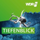 14 Tagebücher des Ersten Weltkriegs – Der Aufstand