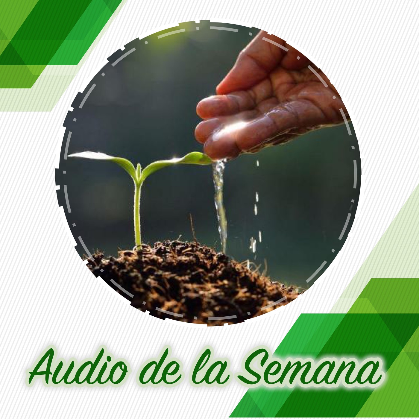 Audios de la Semana 2º Año