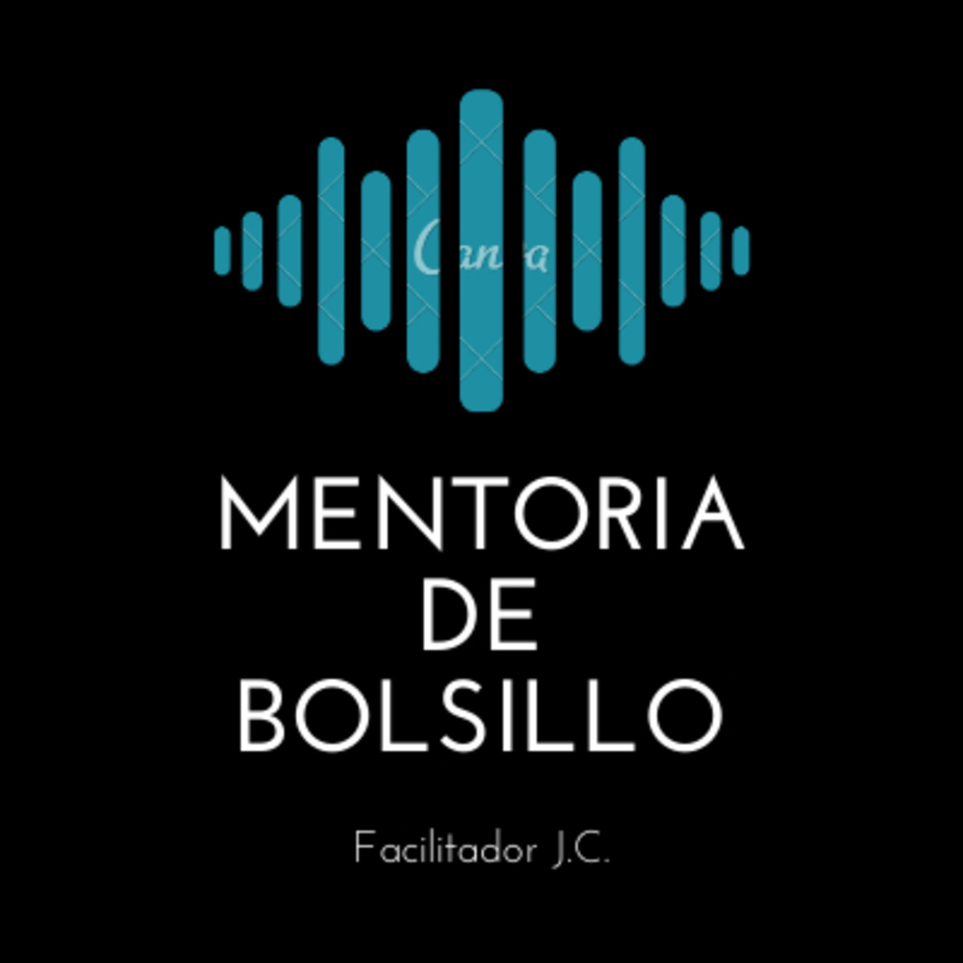 Mentoria de Bolsillo 