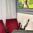 Entrevista a Lorena Álvarez