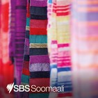 SBS Somali archive: 2015 interview with then presidential candidate Mohamed Abdullahi Farmajo - SBS Somali archive: 2...