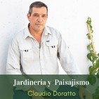 # 70 - ¿Es recomendable el uso de las cenizas como fertilizante?