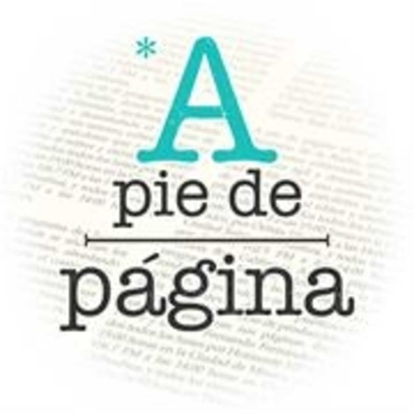 Apiedepágina IMER